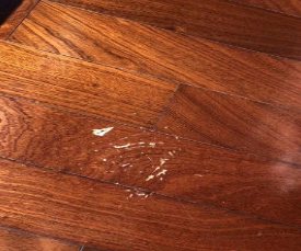 屋頂噴漆两年半社区看片技巧